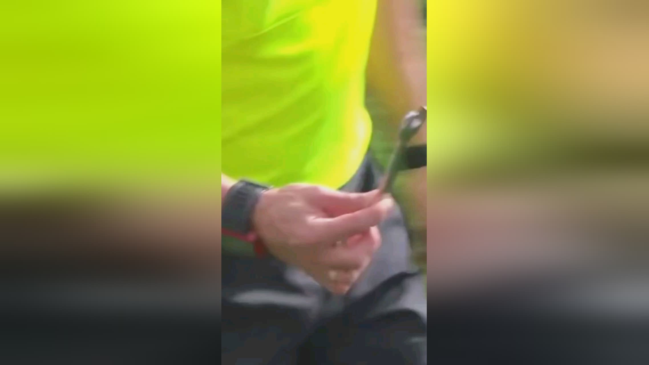 出本赛