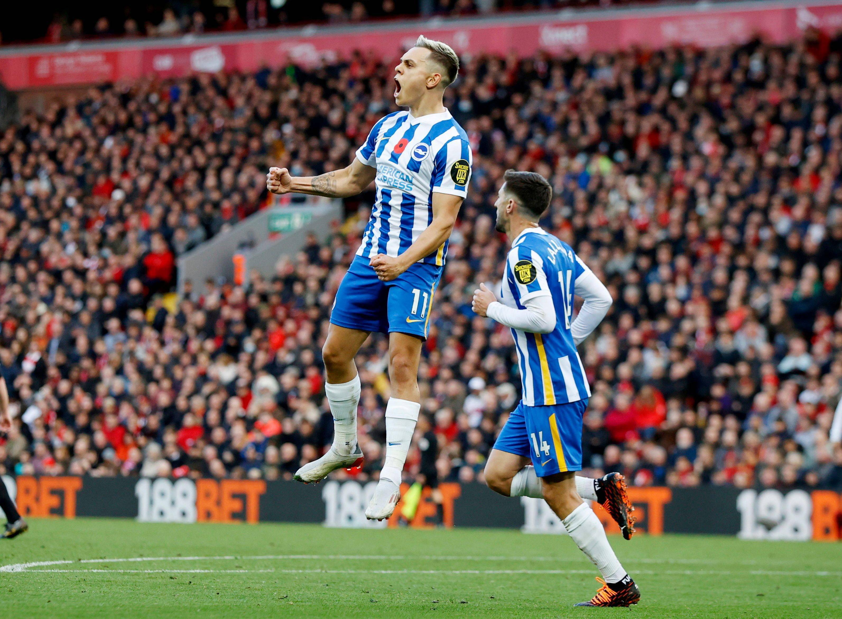 冬奥冠军的 冬奥冠军的