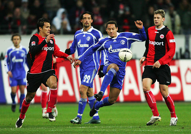 他们可能制 他们可能制